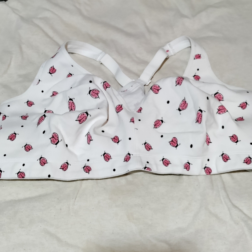 Catherine's bra
